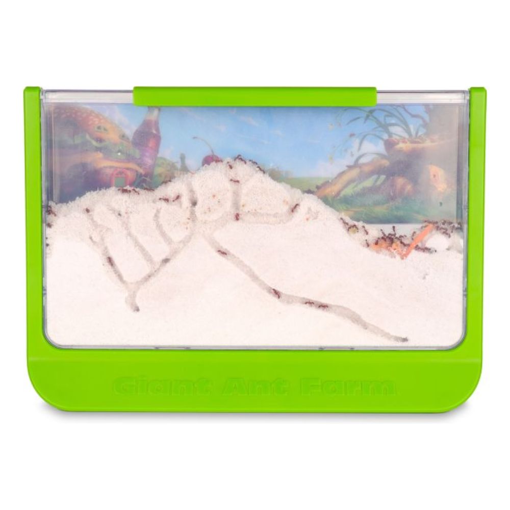 Uncle Milton Giant Ant Farm