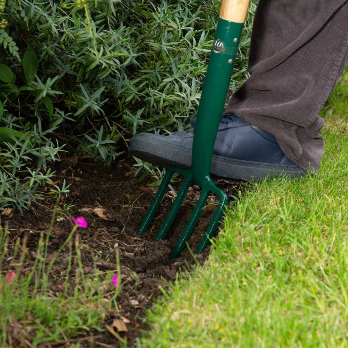 Wilkinson Sword 101cm D - Grip Carbon Steel Border Fork - Old Railway Line Garden Centre