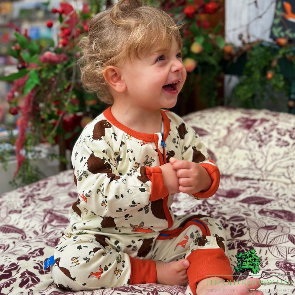 Blade & Rose Gruffalo Outdoor Adventure Zip Up Romper Playsuit 0-3 Months