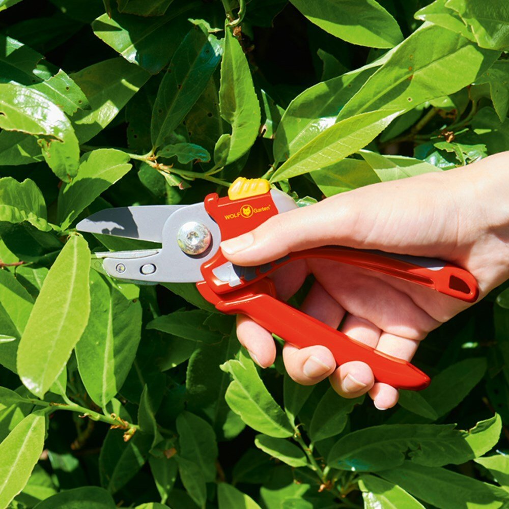 Wolf Garten Anvil Secateurs - RS2500 - Old Railway Line Garden Centre