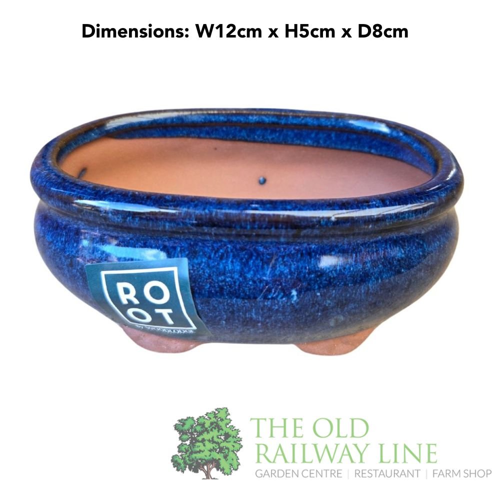 Woodlodge 12cm Blue Oval Bonsai Pot - YMAPBL12 - Old Railway Line Garden Centre