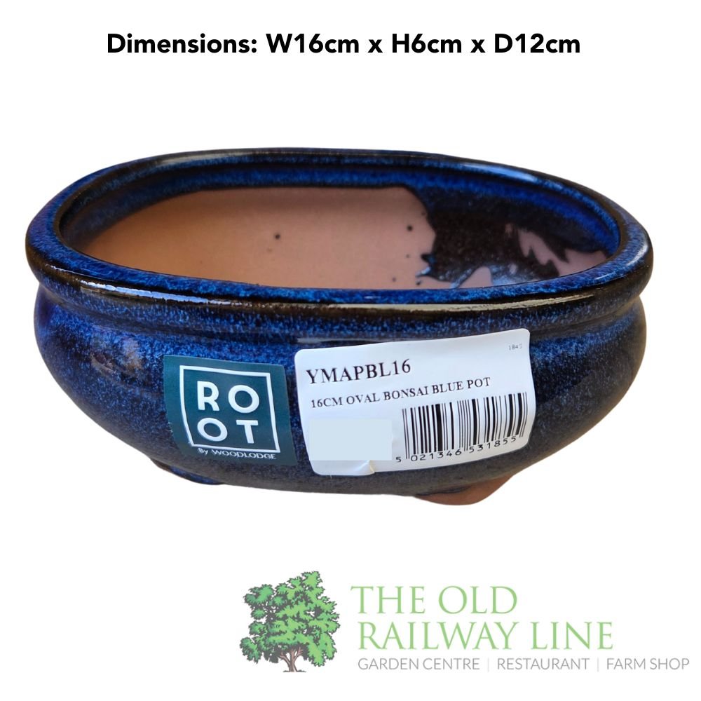Woodlodge 16cm Blue Oval Bonsai Pot - YMAPBL16 - Old Railway Line Garden Centre