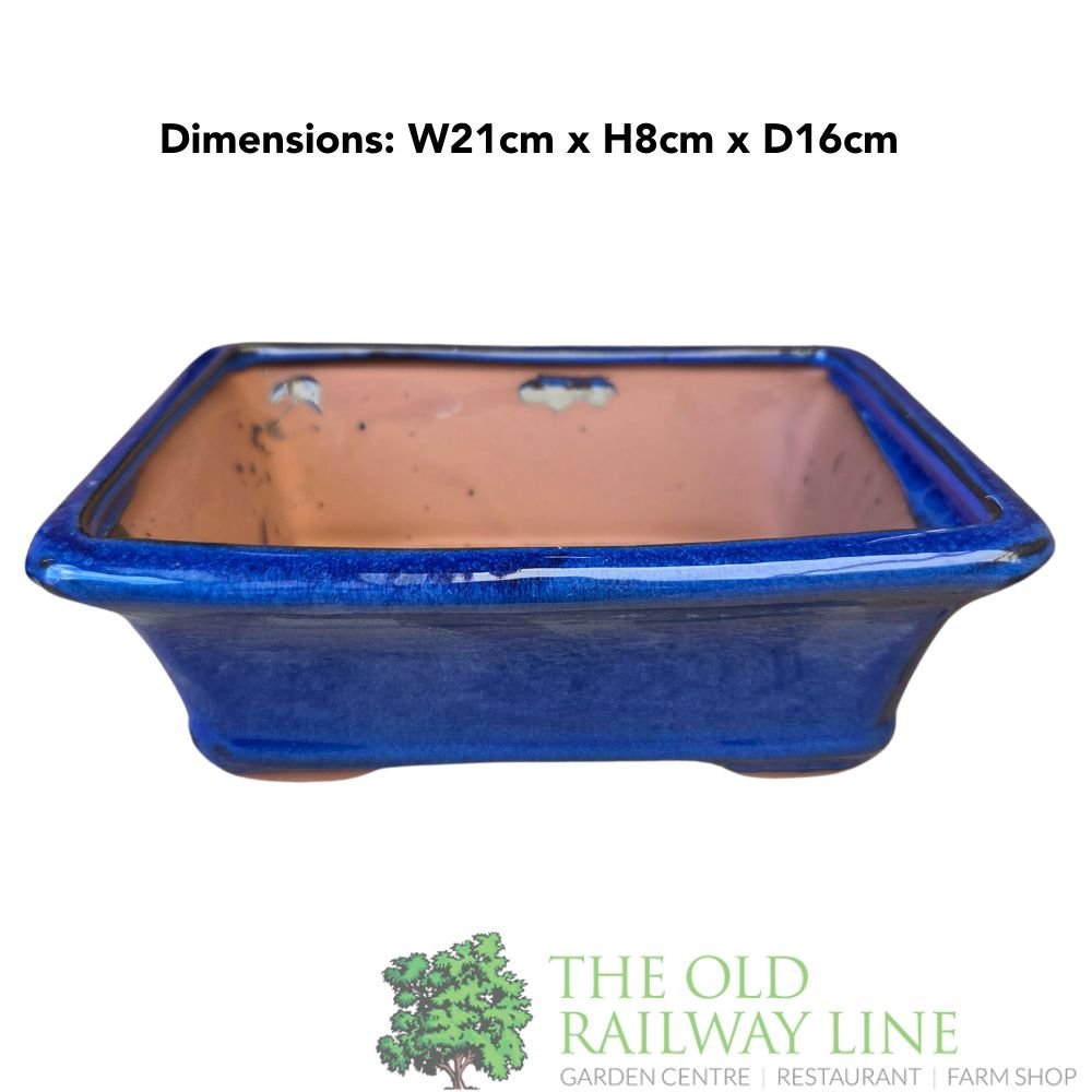 Woodlodge 21cm Blue Rectangle Bonsai Pot - YBONS4B21 - Old Railway Line Garden Centre
