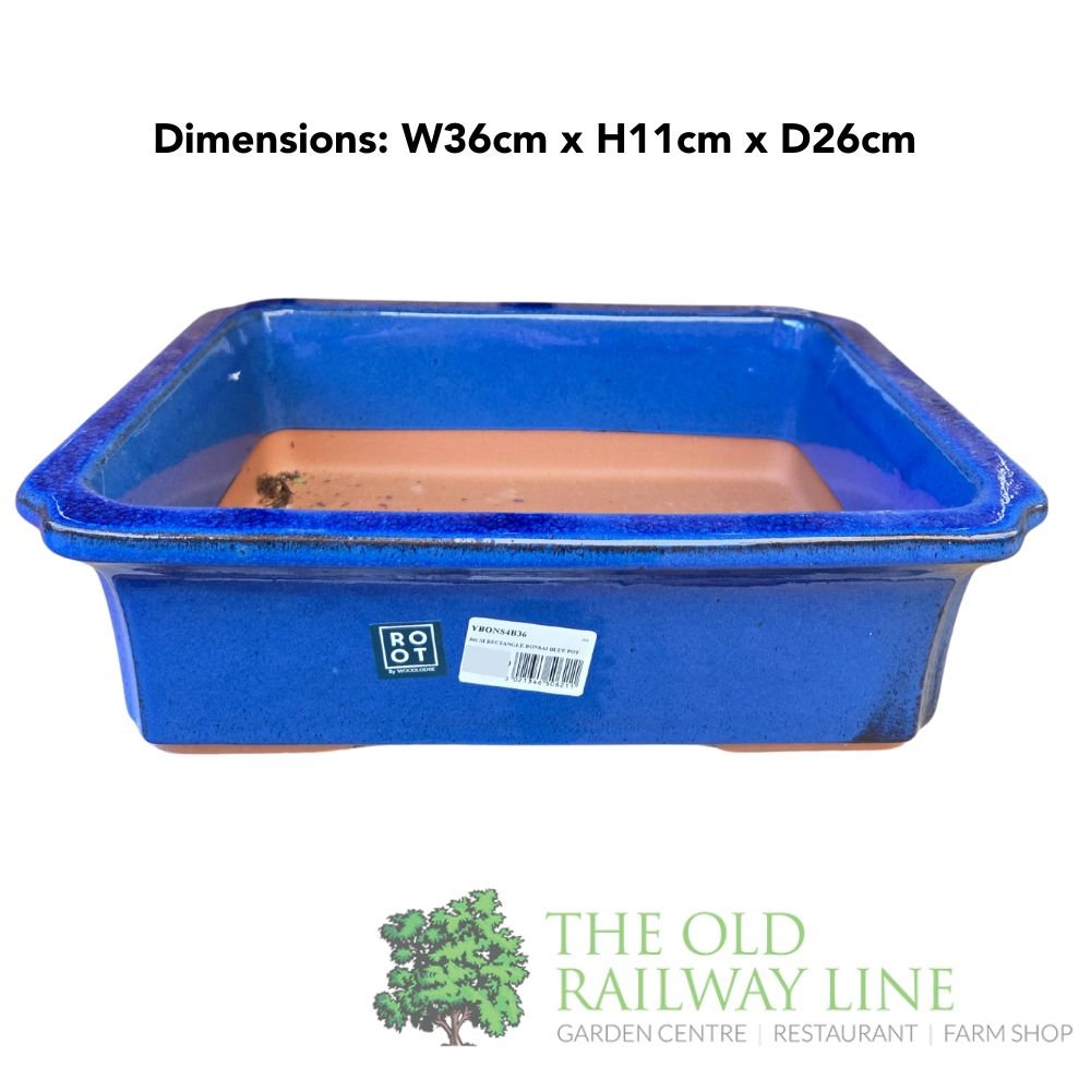 Woodlodge 36cm Blue Rectangle Bonsai Pot - YBONS4B36 - Old Railway Line Garden Centre