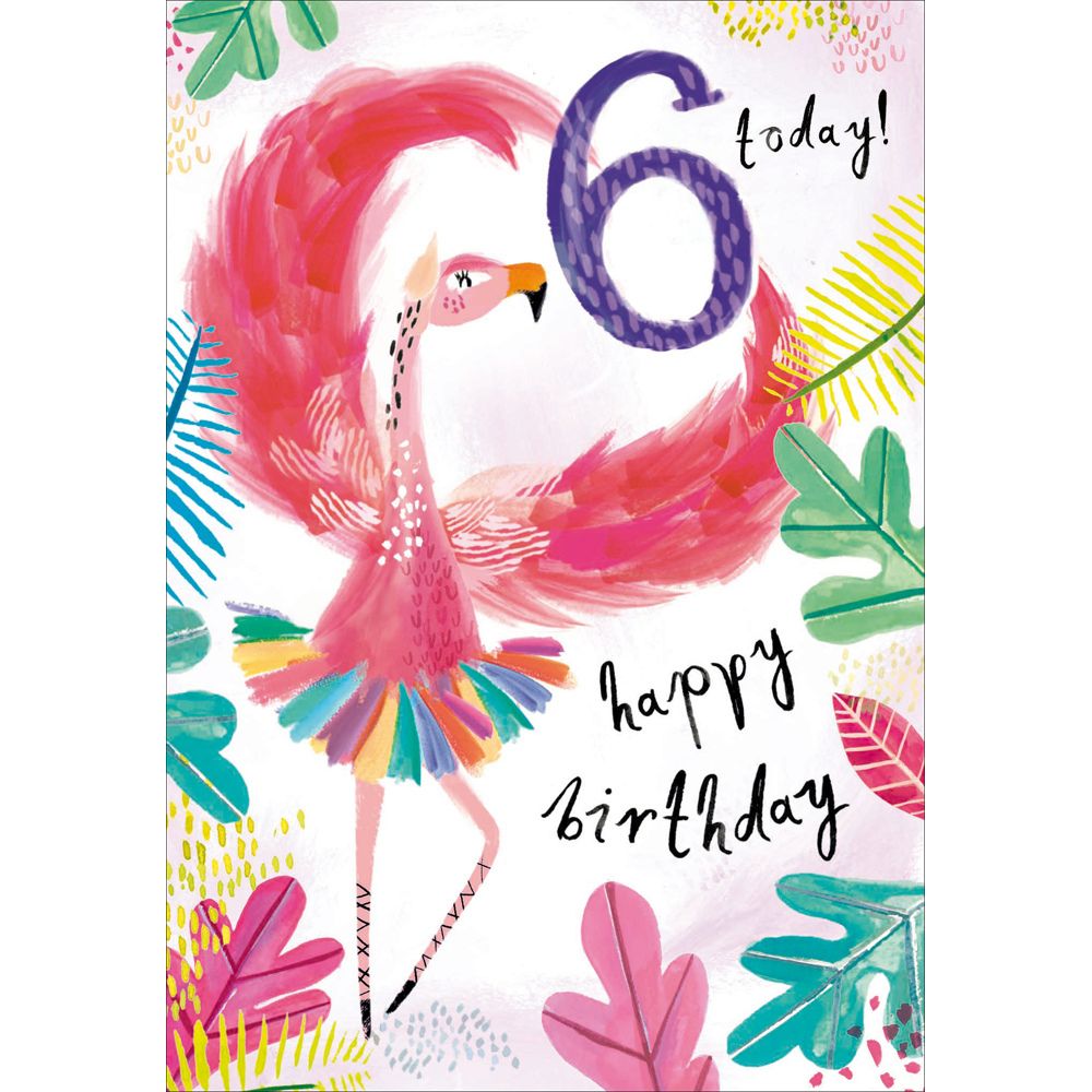 Woodmansterne 6th Flamboyant Flamingo Birthday Card - Old Railway Line Garden Centre