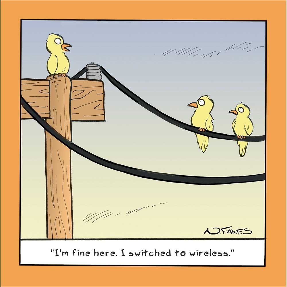 Woodmansterne Birds Wireless Funny Blank Card