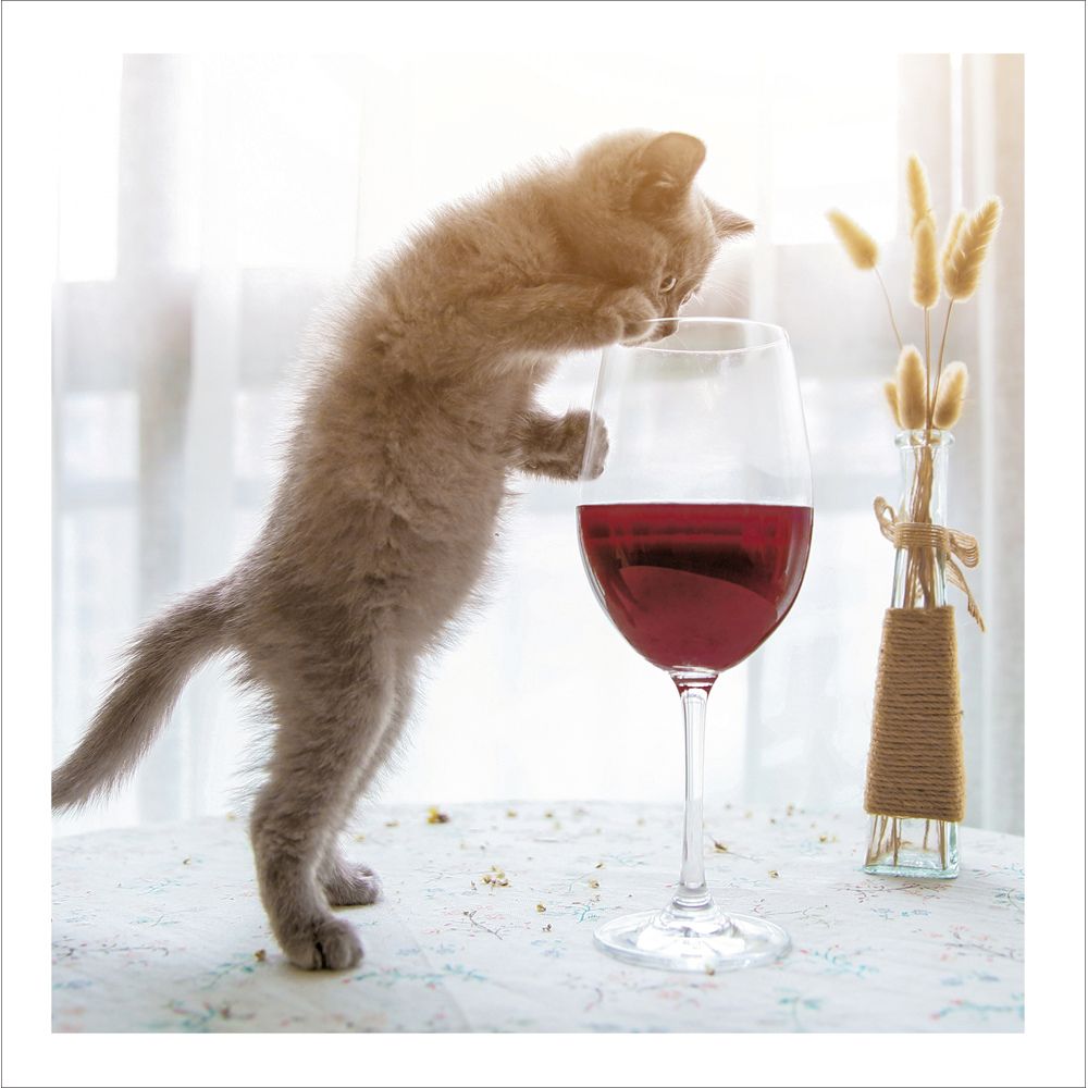 Woodmansterne Cat Just One Glass Blank Card - Old Railway Line Garden Centre