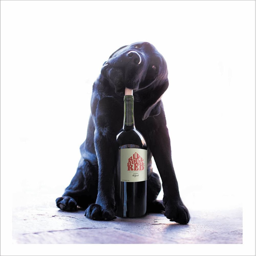 Woodmansterne Dog Wine Bottle Blank Card - Old Railway Line Garden Centre