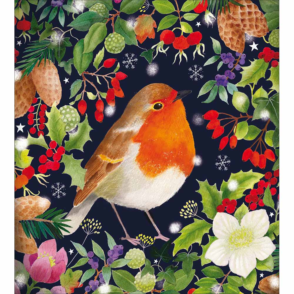 Woodmansterne Little Robin Christmas Cards - Pack of 5