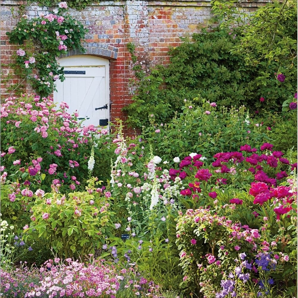 Woodmansterne Mottisfont Garden Blank Card - Old Railway Line Garden Centre