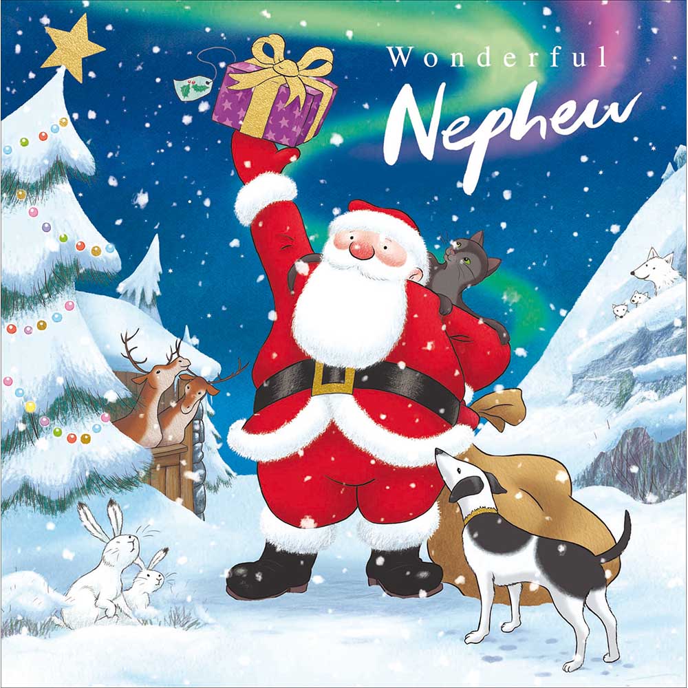 Woodmansterne Nephew - Santa Holding Present Christmas Card