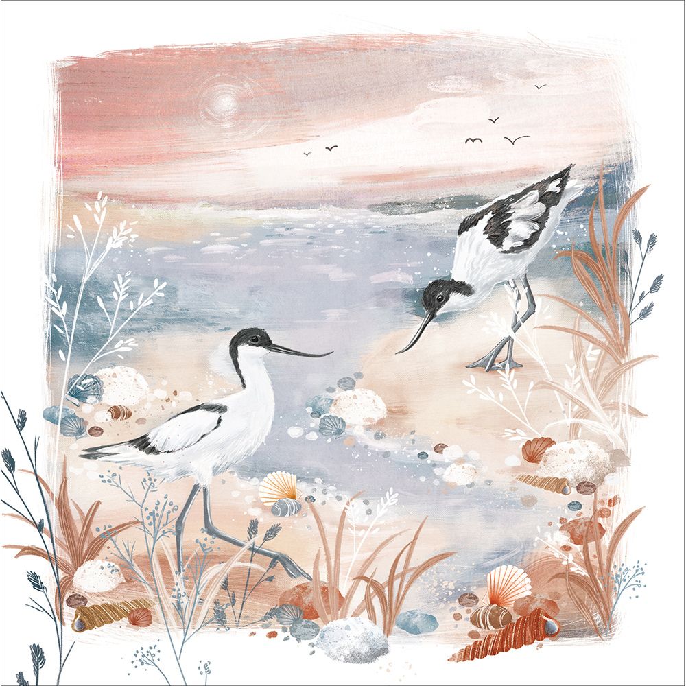 Woodmansterne Pied Avocets Blank Card - Old Railway Line Garden Centre