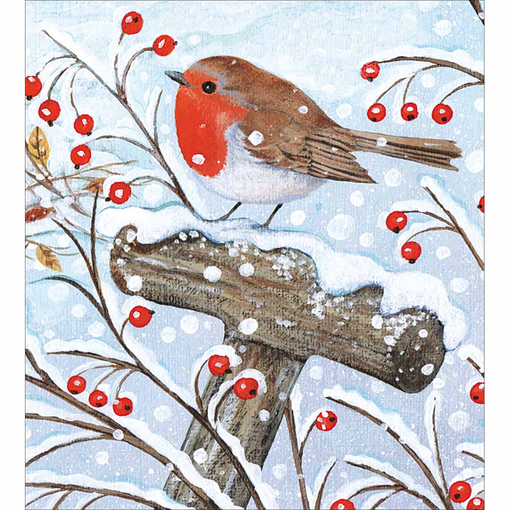 Woodmansterne Red Robin Christmas Cards - Pack of 5