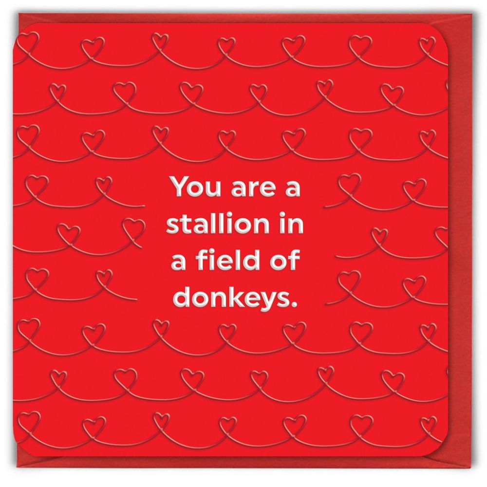 Woodmansterne Stallion in a Field of Donkeys Valentine's Day Card - Old Railway Line Garden Centre
