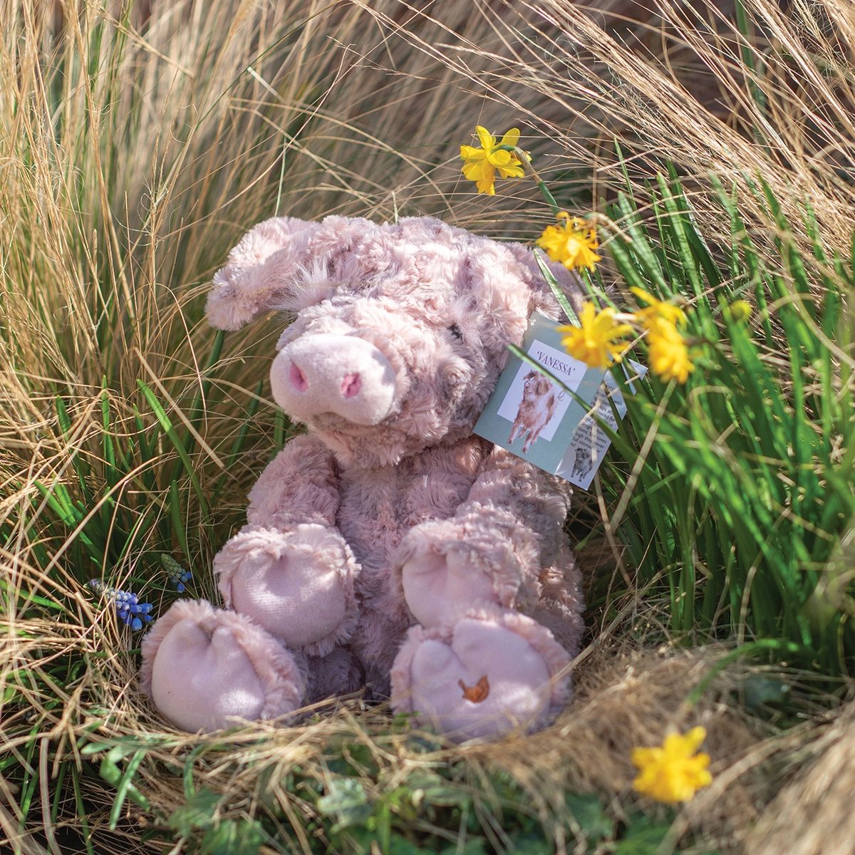 Wrendale 19cm 'Vanessa Junior' Pig Character Plush