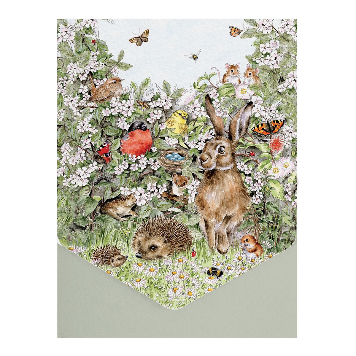 Wrendale 'Hidden in the Hedgerow' Nature Notecard Pack