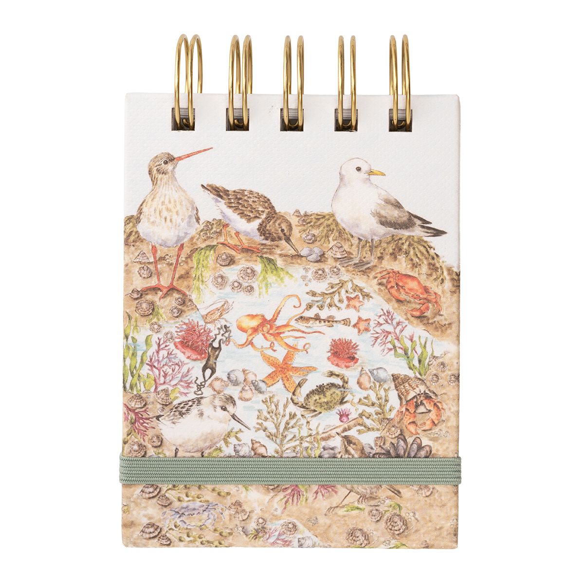 Wrendale 'Secrets of the Sea' Nature Field Notebook - Old Railway Line Garden Centre