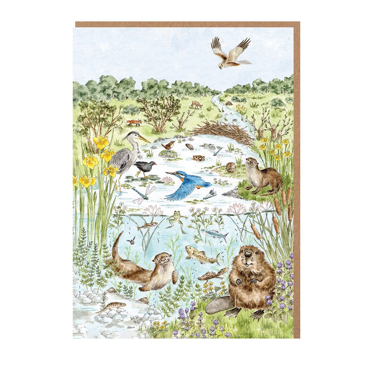 Wrendale 'The Riverbank' Nature Notecard Pack