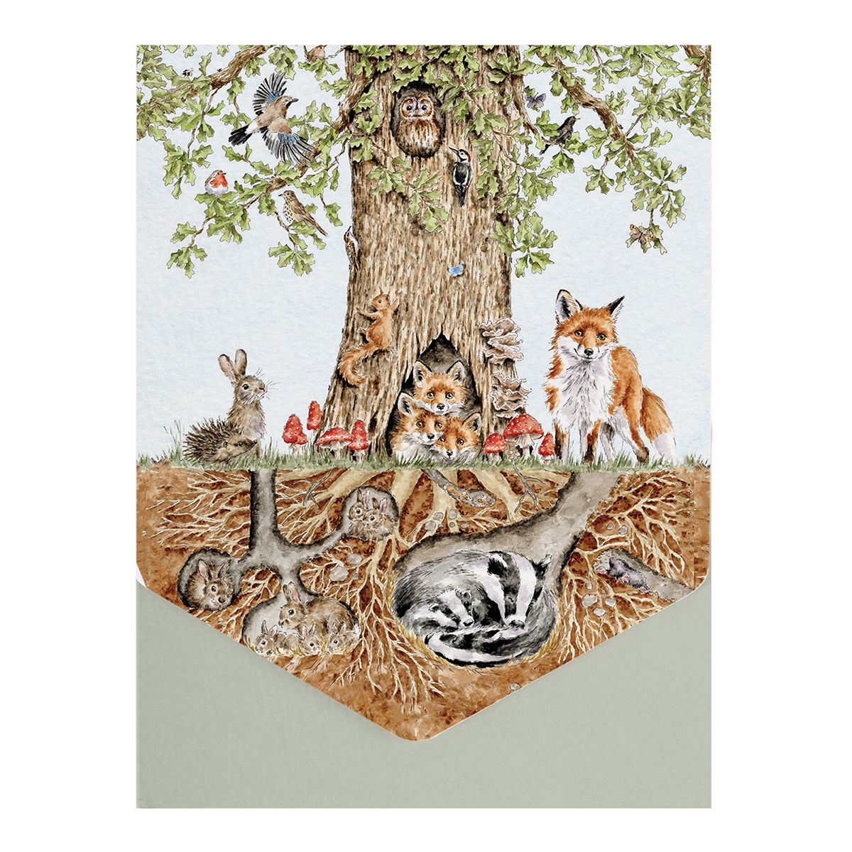 Wrendale 'Wild Woodland' Nature Notecard Pack