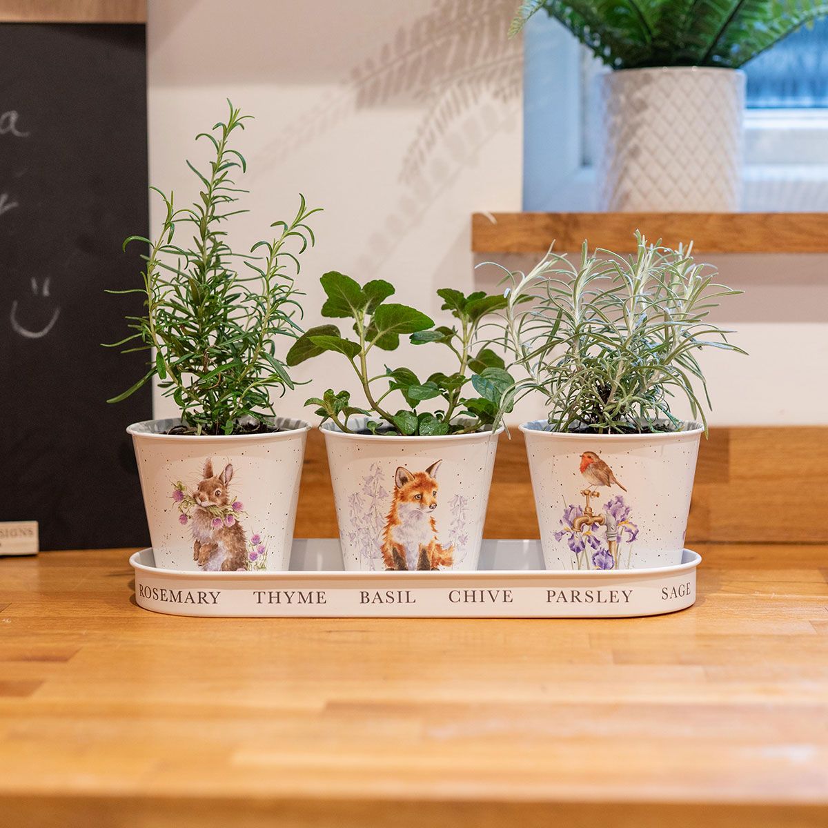 Wrendale 'Woodland' Set of 3 Herb Pots with Tray