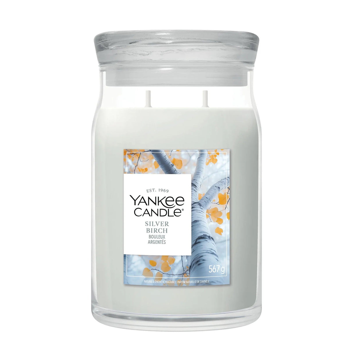 Yankee Candle 567g Silver Birch Large Jar Candle - Old Railway Line Garden Centre