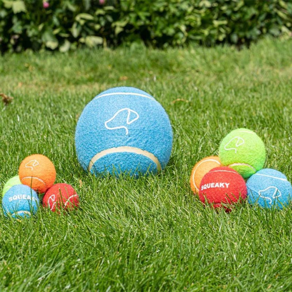 Zoon 6.5cm Squeaky Pooch Tennis Balls - 3 Pack
