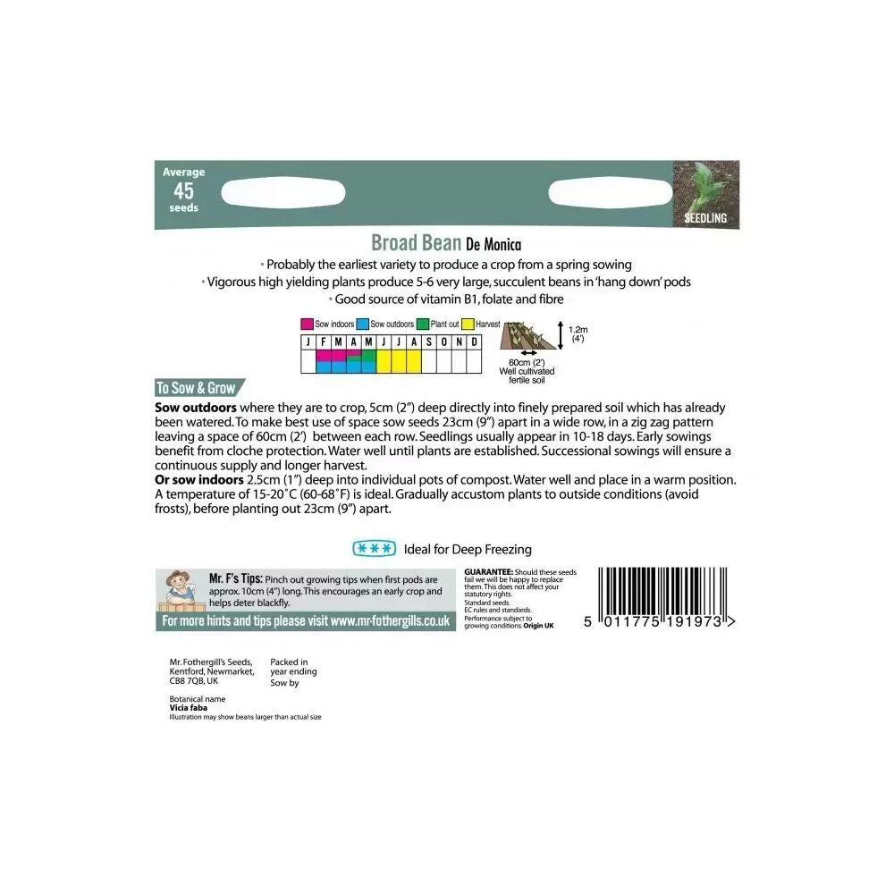 Mr Fothergill's Broad Bean De Monica Seeds