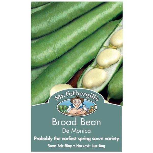 Mr Fothergill's Broad Bean De Monica Seeds