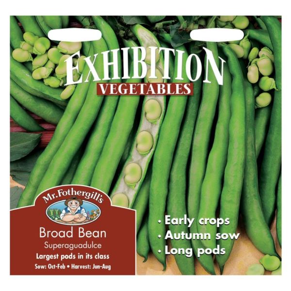 Mr Fothergill's Broad Bean Superaguadulce Seeds