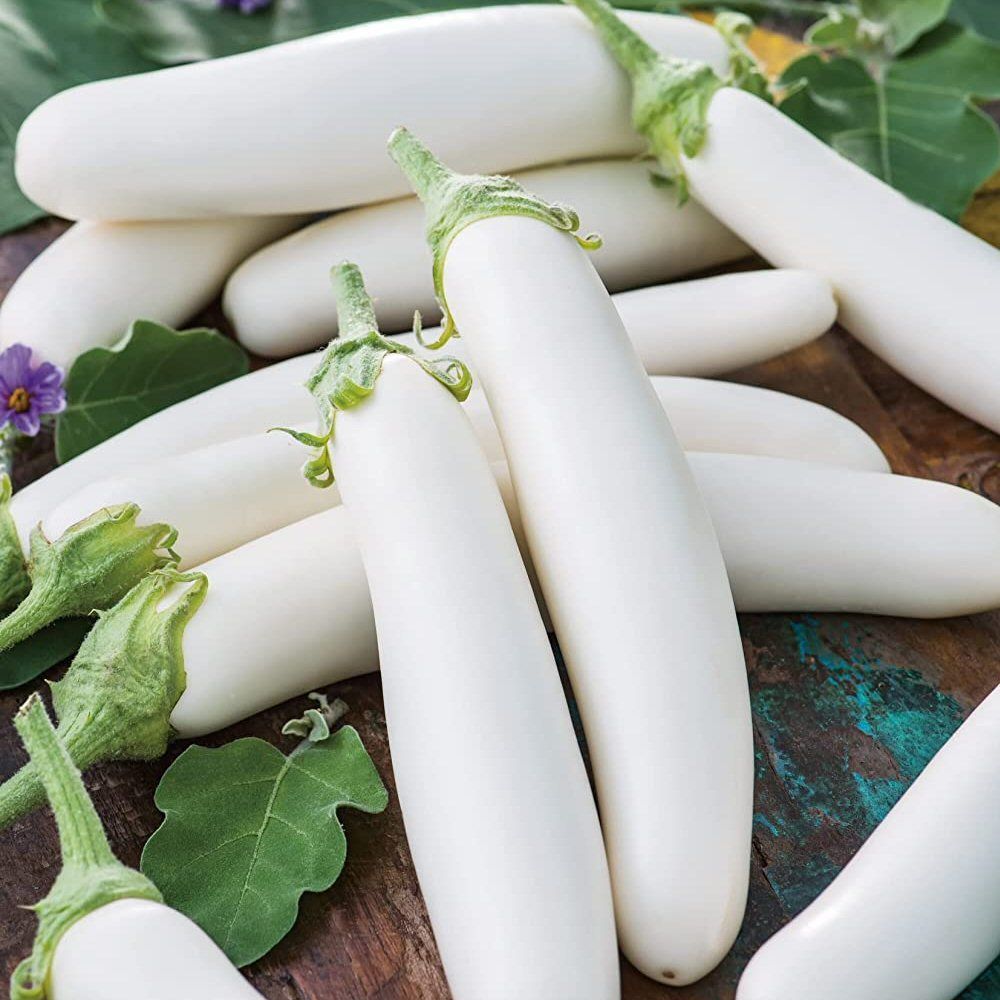 Mr Fothergill's Aubergine White Knight F1 Seeds