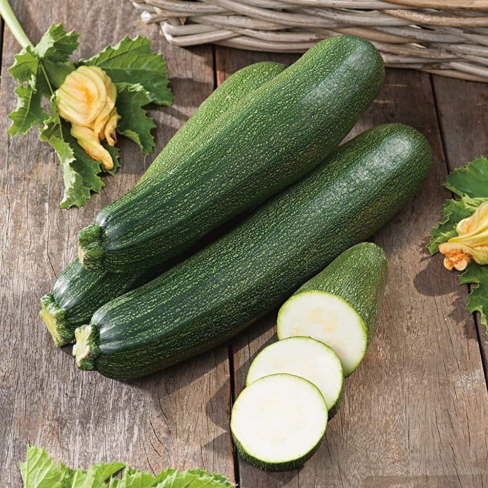 Mr Fothergill's Courgette Blackstar F1 Seeds