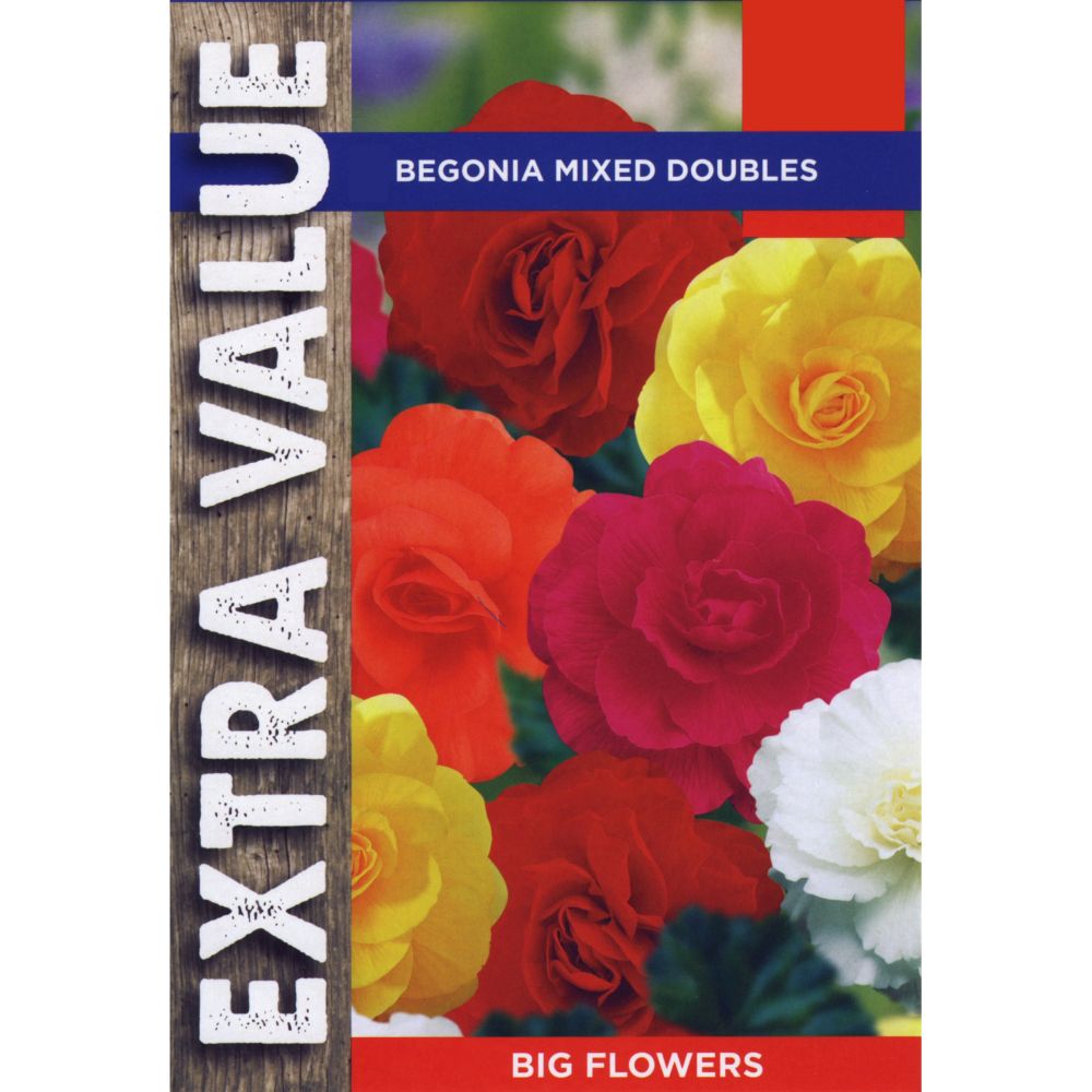 Taylors 5 Begonia Mixed Double Tubers