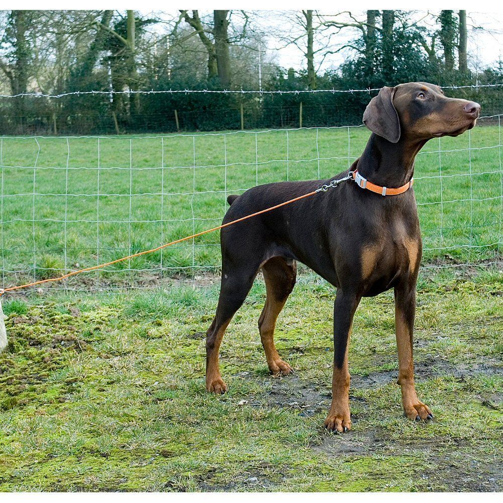 Ancol 4.5m Large Tie-Out Dog Cable