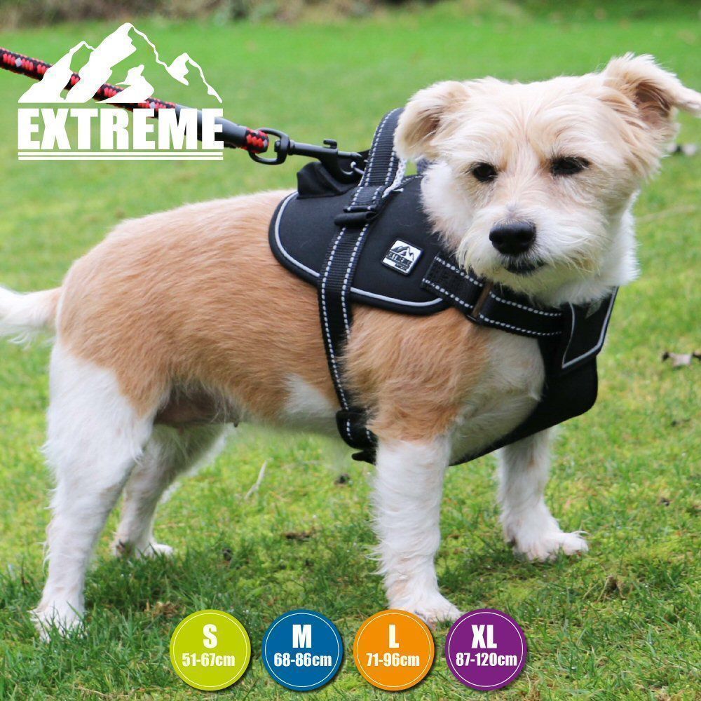 Ancol Extreme Black Harness