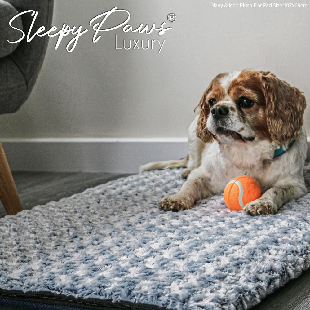 Ancol XX Large Sleepy Paws Flat Pad for Dogs