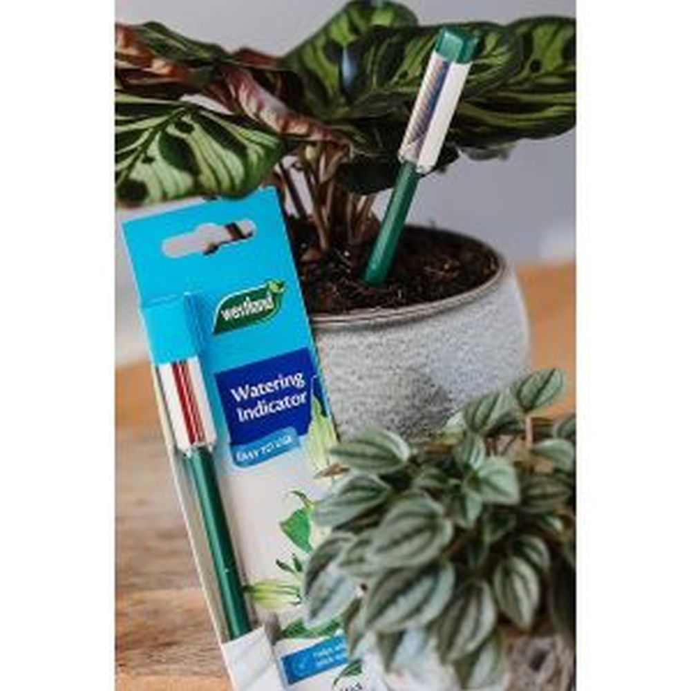 Westland Watering Indicator