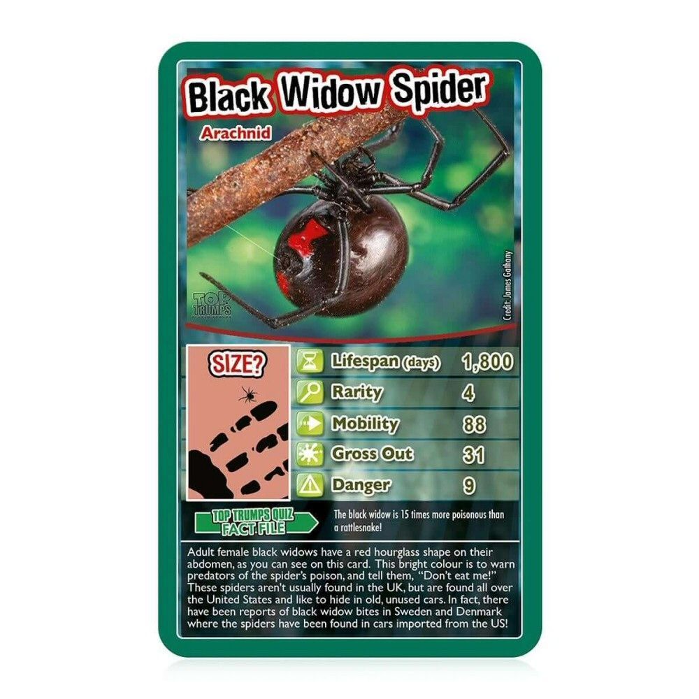 Top Trumps Bugs Card Game