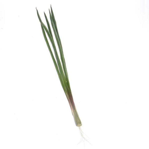 CB Imports 36cm Artificial Spring Onion