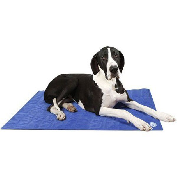 Scruffs 120cm Extra Large Cool Dog Mat – Old Railway Line Garden Centre