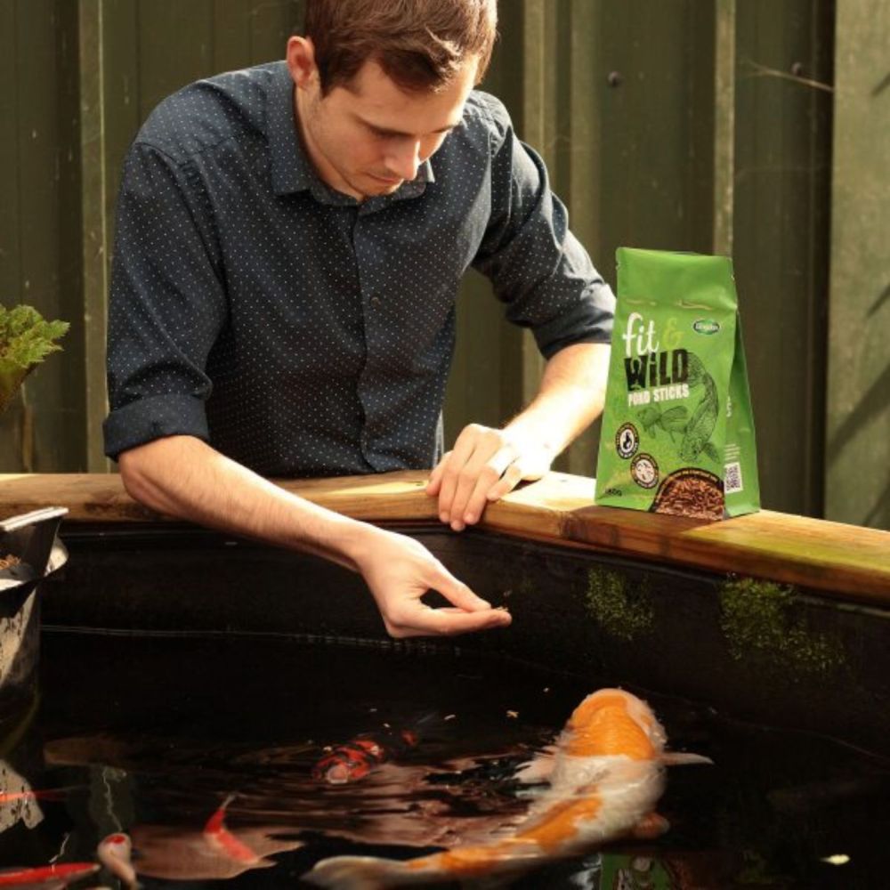 Blagdon 180g Fit & Wild Pond Sticks