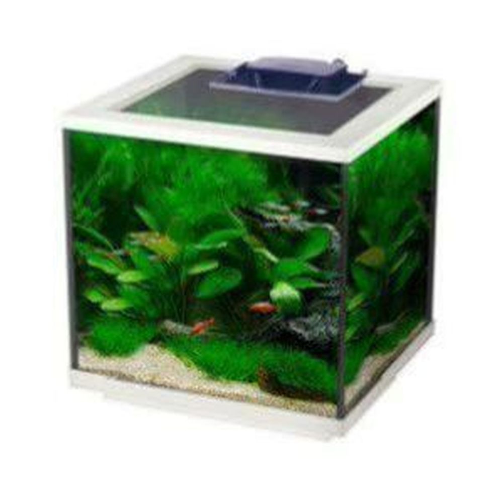 Interpet AquaCube LED Aquarium