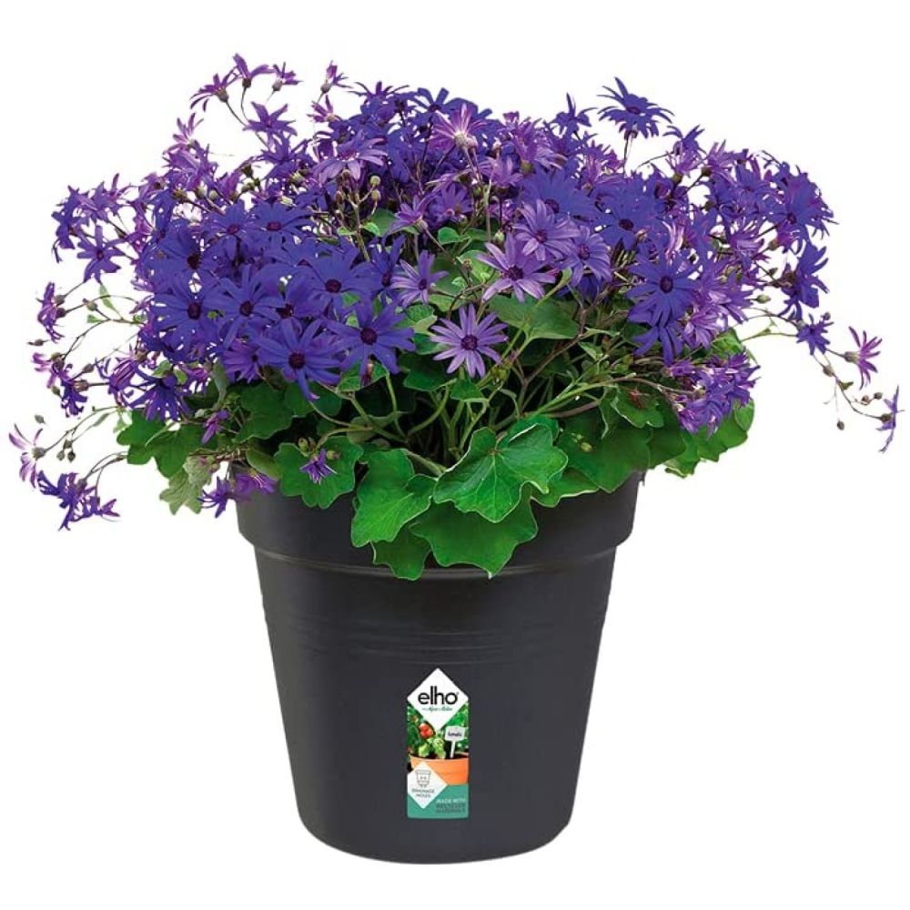 Elho 27cm Living Black Green Basics Growpot