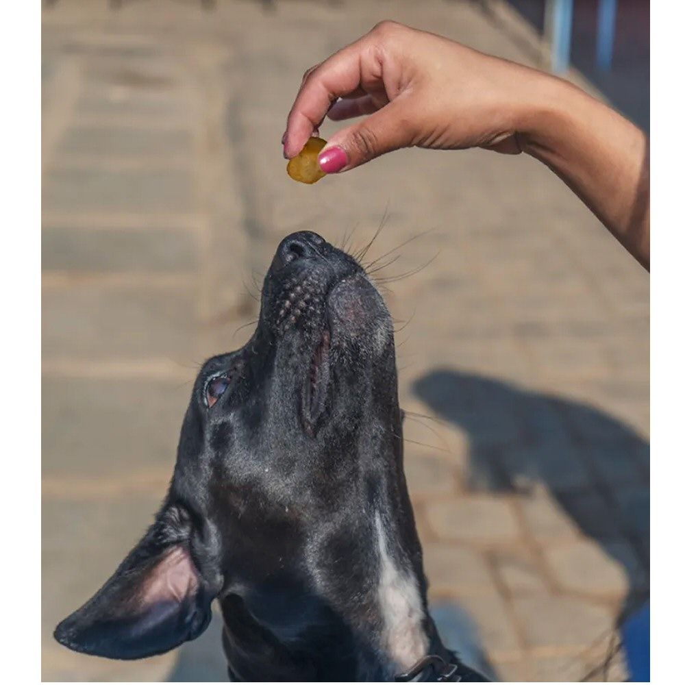 Dogsee 70g Mini Pops Dog Treats