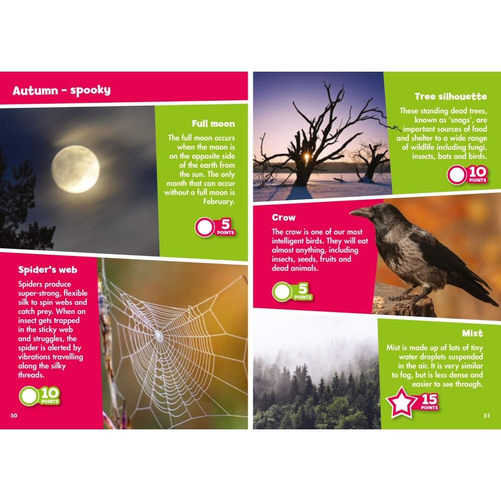 i-Spy In The Countryside Children Activity Book