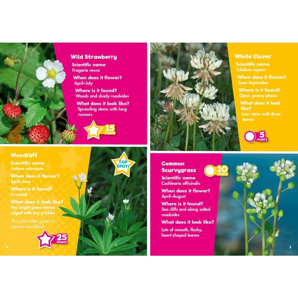 i-Spy Wildflowers Children's Activity Book