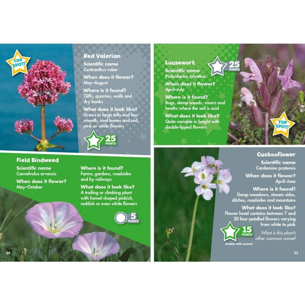 i-Spy Wildflowers Children's Activity Book