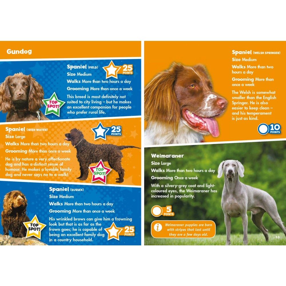 i-Spy Dogs Children Activity Book