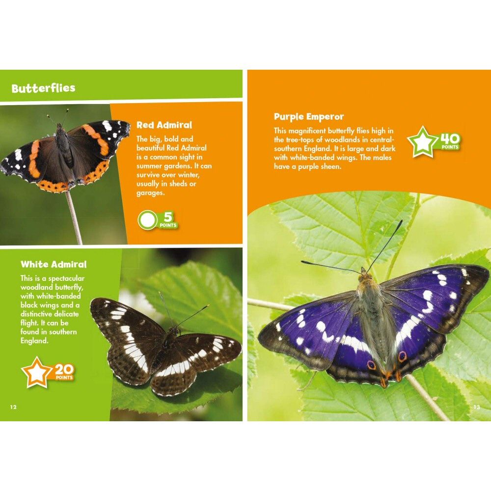 i-Spy Butterflies & Moths Children's Activity Book