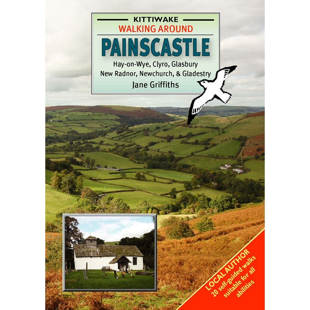 Kittiwake Walking In Painscastle