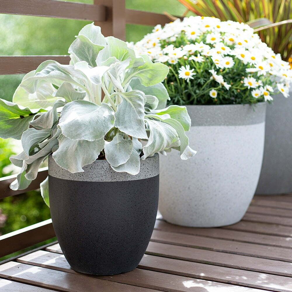 APTA 32cm Granito Two Tone Planter (White with Grey Rim Only) - Old Railway Line Garden Centre